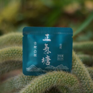 云南正气塘古树白茶 临沧 薄片 方便携带,一次一泡