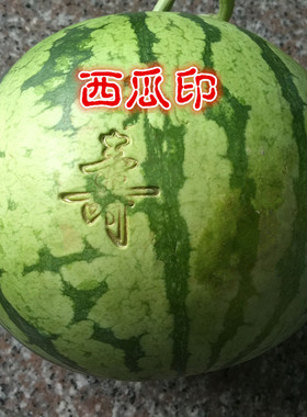 钢印水果印西瓜印铜质印章蔬菜印哈密瓜印西瓜标签印陶瓷印胚压印