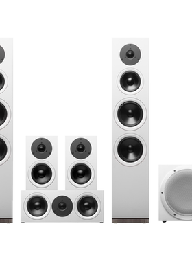 惠威Dynamic高端家庭影院环绕音响套装5.1声道电视客厅组合音箱