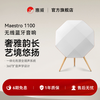 HiVi惠威Maestro 1100无线蓝牙音响家用环绕音箱