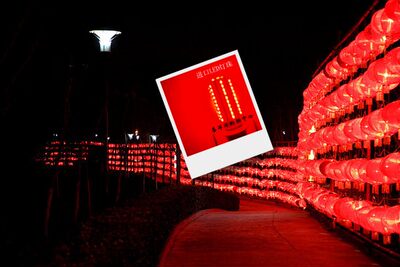 led 节能 灯泡玉米灯4w E14 E27螺口 红 灯 泡 笼照明 灯珠红色