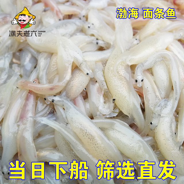 渤海湾新鲜海鱼面条鱼
