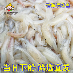 渤海海捕海鱼面条鱼新鲜白鱼非银鱼仔宝宝孕妇辅食