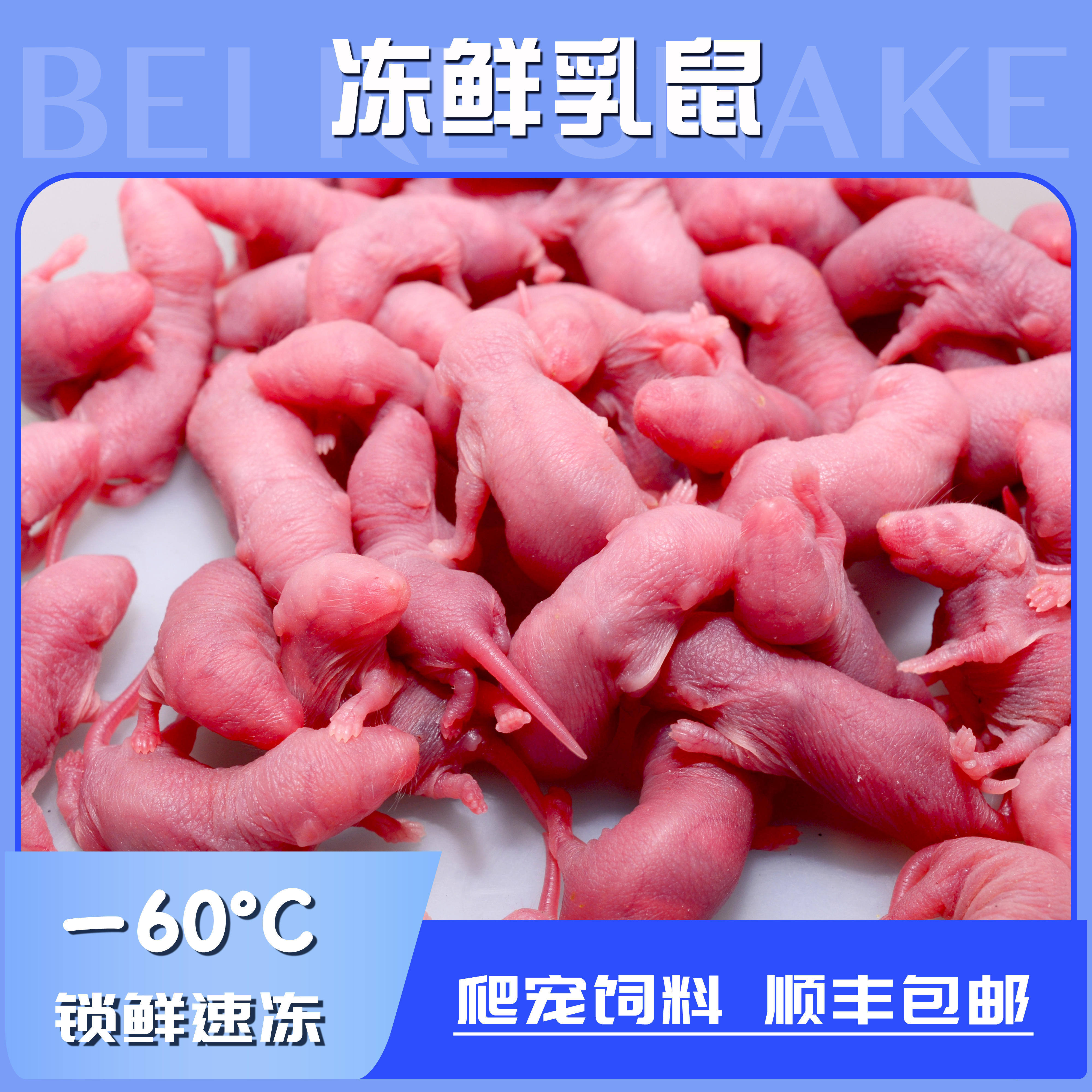 新鲜无菌冷冻乳鼠小白鼠宠物蛇