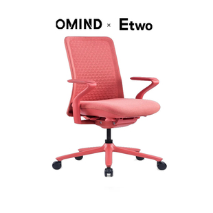 升降舒适办公学习椅 POLY椰子人体工学椅 E2全球购正品 OMIND