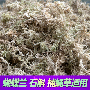 水苔蝴蝶兰花种植专用营养土捕蝇草干苔藓植料石斛乌龟垫材批发