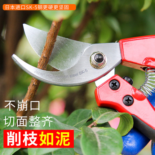 花心兰庭院树枝多功能剪刀修枝剪