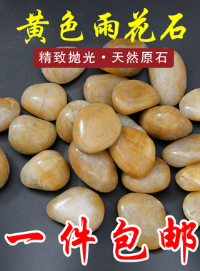 鹅卵石黄色天然雨花石小石子精品抛光原始园林铺路装饰鱼缸花盆