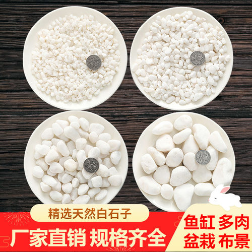 白玉石花盆种植花卉绿植鹅卵石子