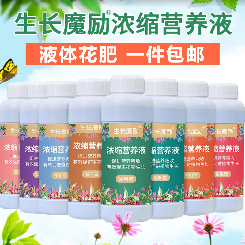营养液植物通用型盆栽肥料绿萝肥