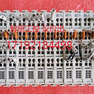 Ethercat耦合器 LC1 LC1100 LC2488