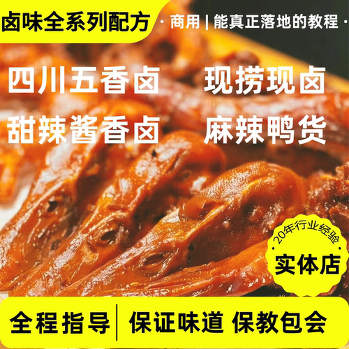 商用卤肉卤菜技术配方 麻辣甜辣五香鸭脖鸭货 热卤熟食技术教程