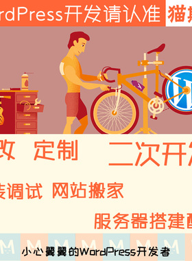 wp主题修改 wordpress主题定制 wp插件定制 wp模板修改 建站迷