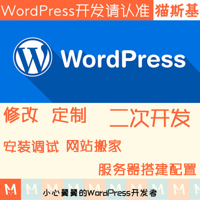 wp主题美化 wp模板主题修改 wordpress插件定制开发 建站迷