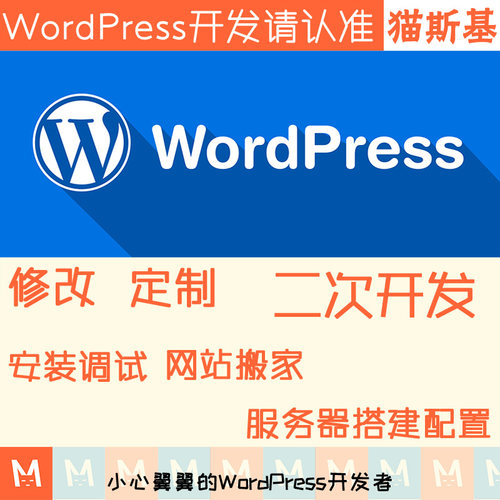 wp主题美化 wp模板主题修改 wordpress插件定制开发 建站迷