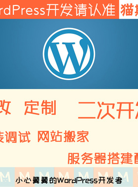 wp主题修改 wp主题二次开发 wordpress模板定制开发 建站迷