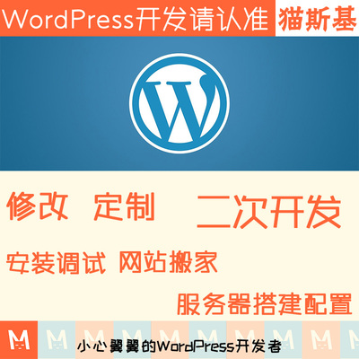wp主题修改 wp主题二次开发 wordpress模板定制开发 建站迷