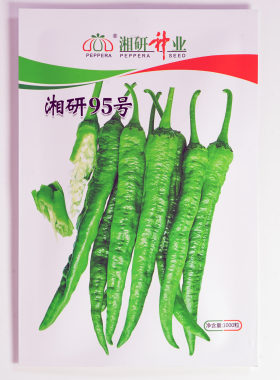 【湘研95号辣椒种子】樟树港辣椒高品质薄皮椒顺直软皮微辣高产