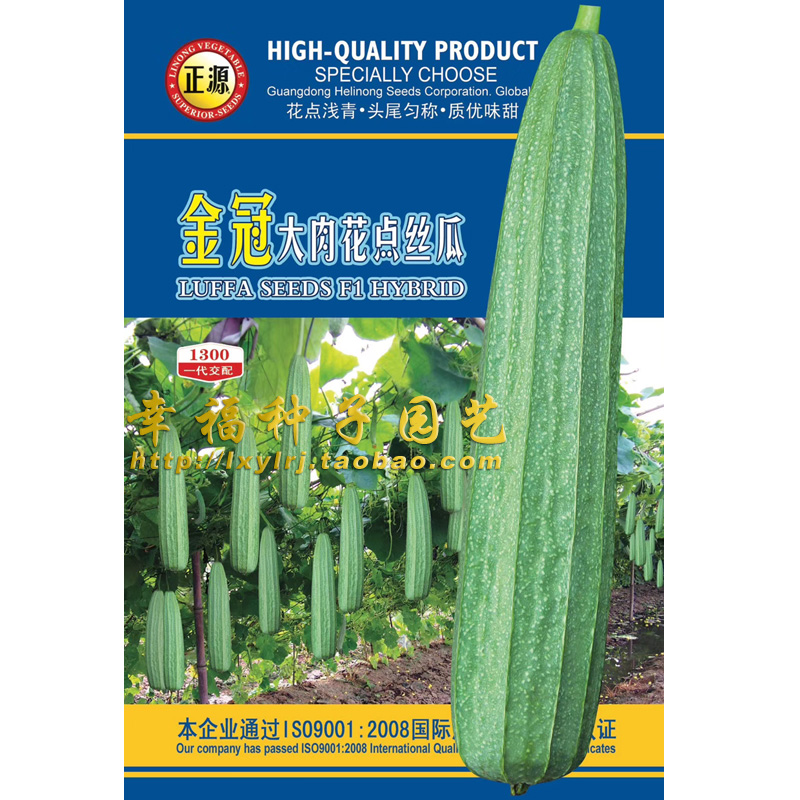 大花点丝瓜和利农丰产瓜清甜