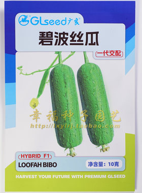 可夏播的丝瓜种子高产口感好吃的