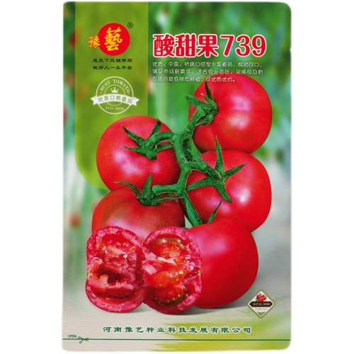 豫艺酸甜果番茄草莓水果番茄种子