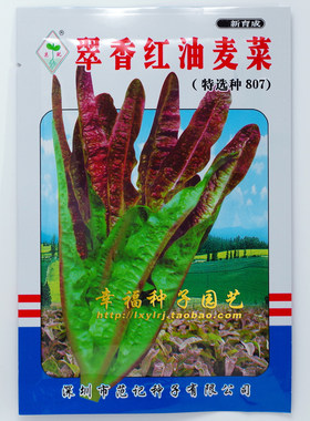 翠香红油麦种子种子范记好吃