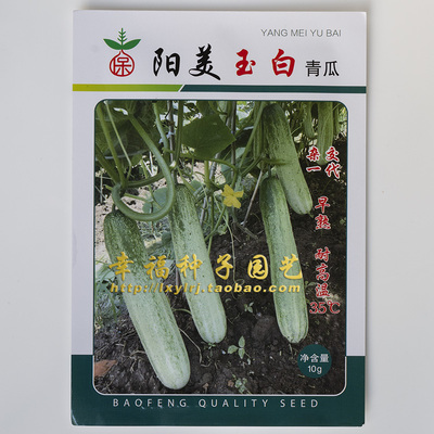 青瓜早熟口感好种子