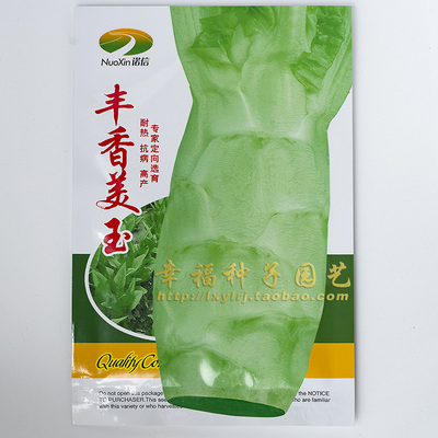 夏播秋播盆栽四季耐热莴笋种子