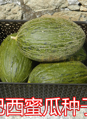 易种植，甜度高，甜度梯度小