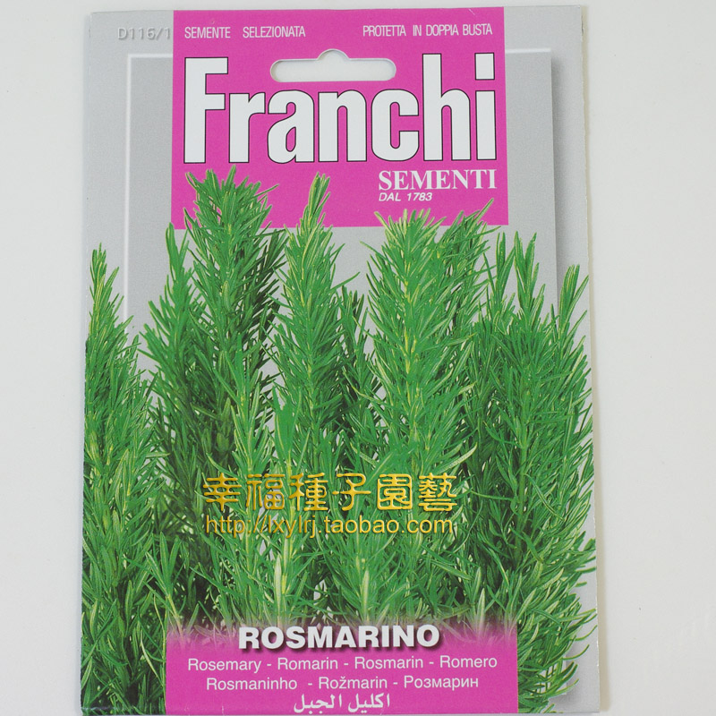 【意大利迷迭香种子】Rosemary 增强记忆力 海洋之露香草花茶种子