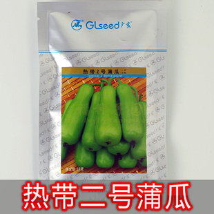 广良【热带2号蒲瓜】葫芦扁蒲蒲仔瓠子瓠瓜匏仔陈蒲瓜春夏播