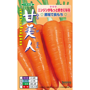 【甘美人胡萝卜种子】红色胡萝卜 春秋播种 红萝卜种子 蔬菜种子