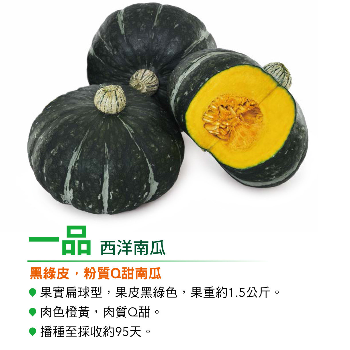 台湾农友板栗南瓜种子粉甜高产图片