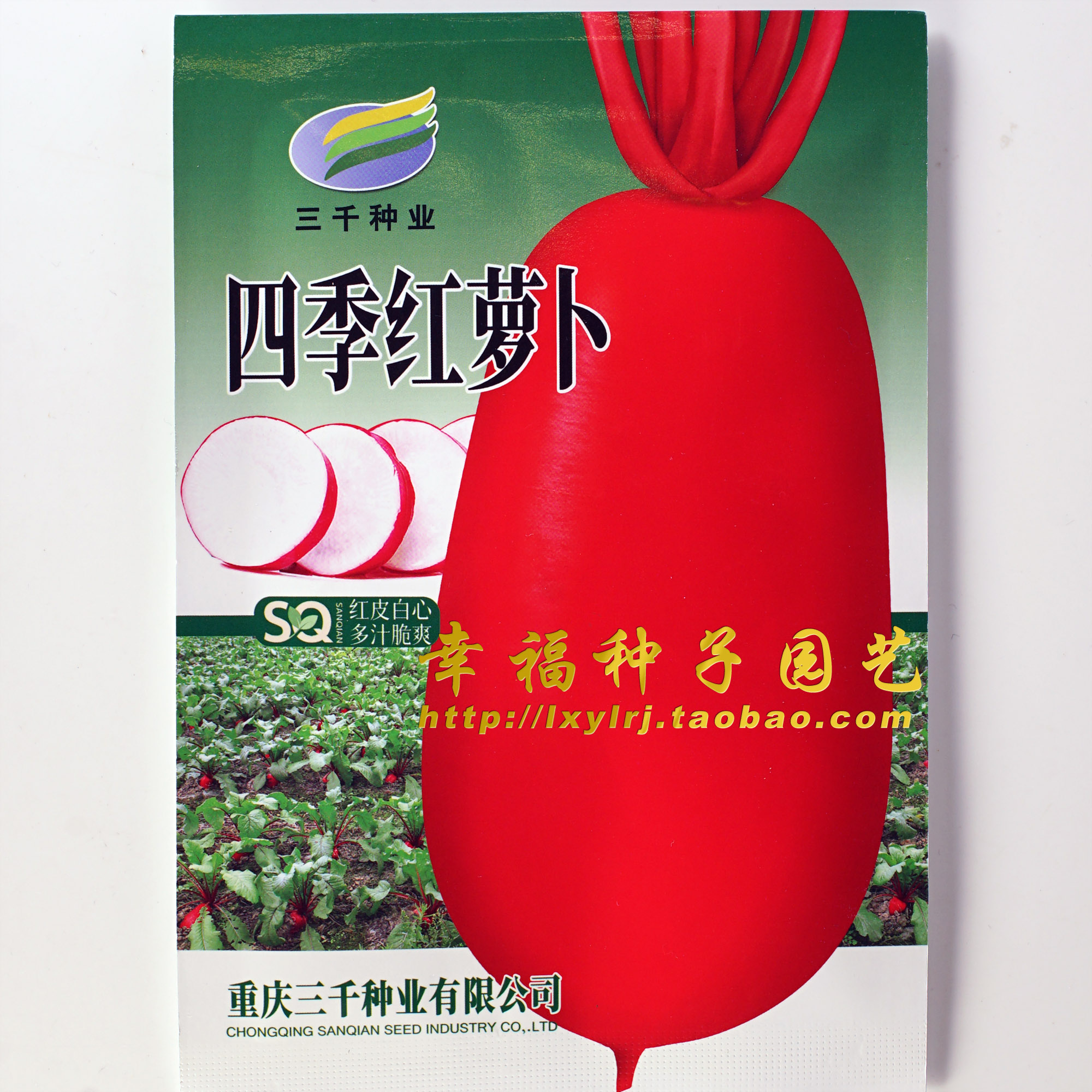 【四季红白萝卜种子】农科院蔬菜种子 满身红泡菜白萝卜 水萝卜