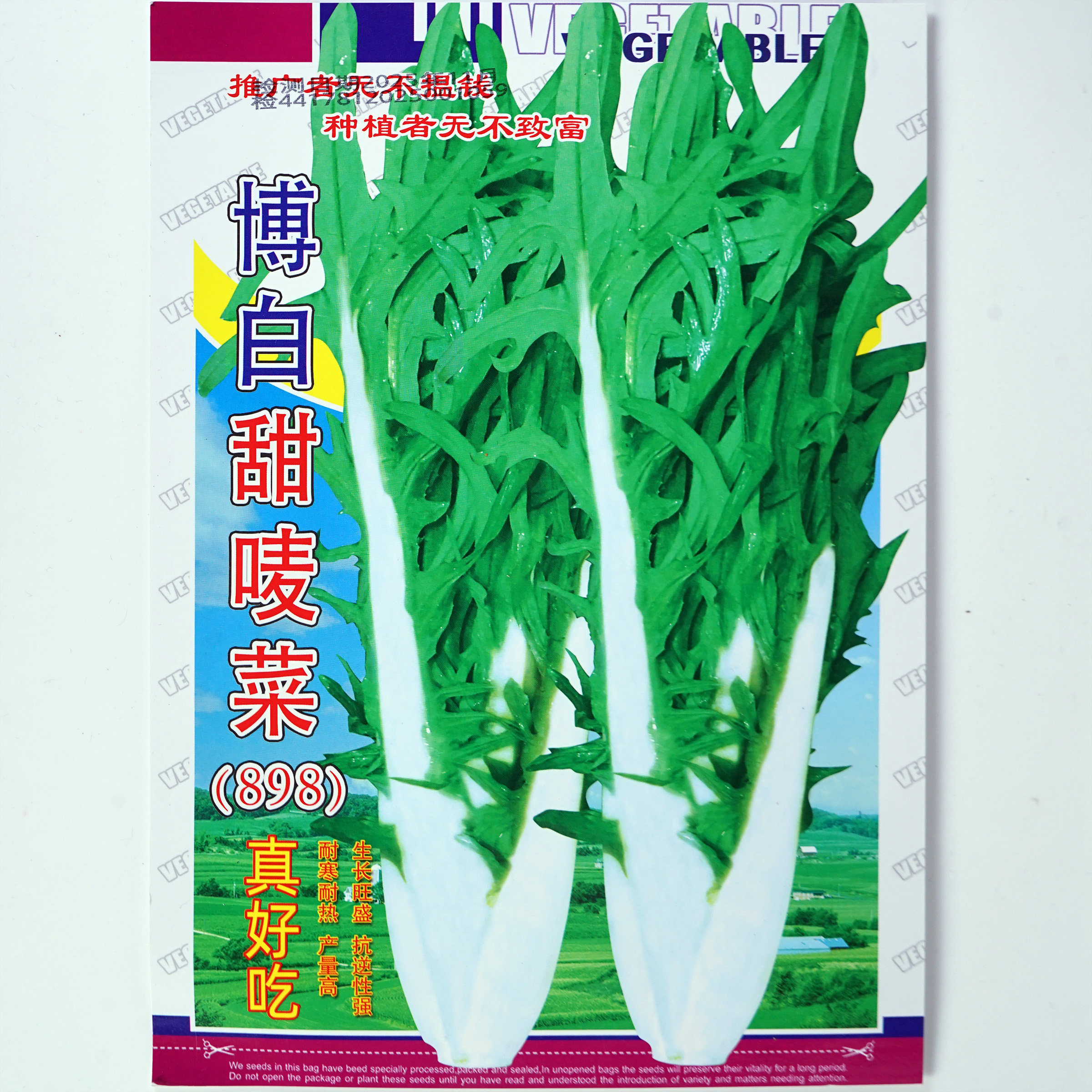 博白甜唛菜种子 甜麦菜春秋播种 脆甜口感和易种植 虫害少花芽唛