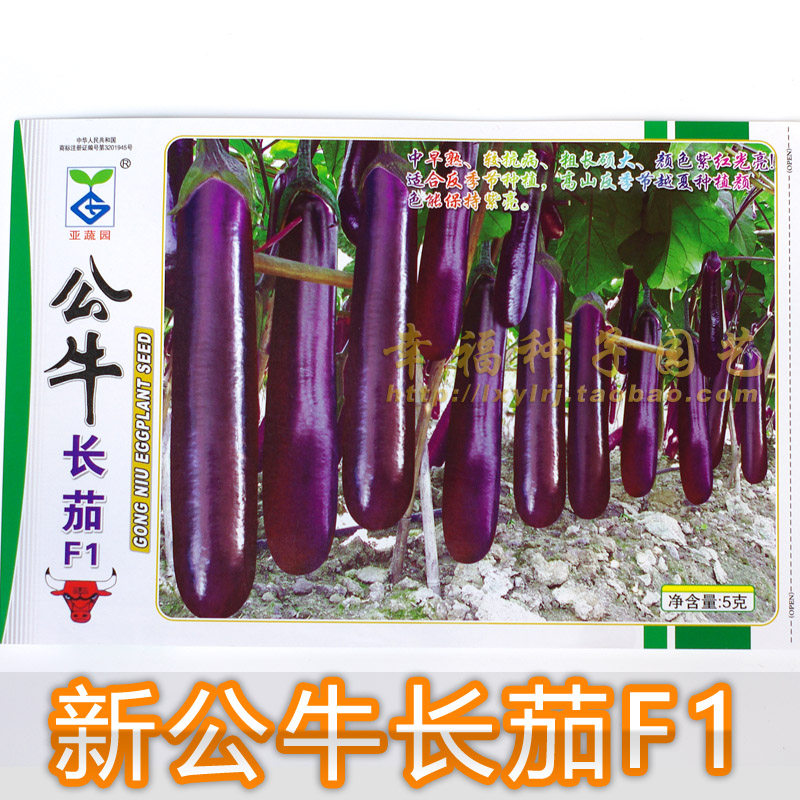 【亚蔬公牛长茄f1】新公牛长茄 茄瓜种子 高产  易种植春夏秋可播