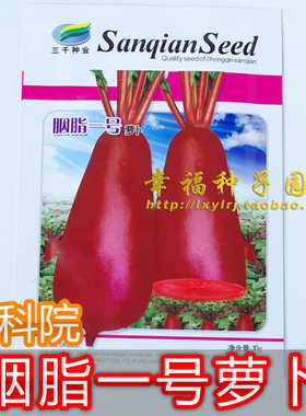 涪陵种子红心白萝卜胭脂春夏秋播
