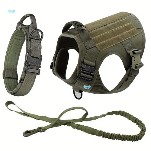 3件套大狗项圈牵引背心