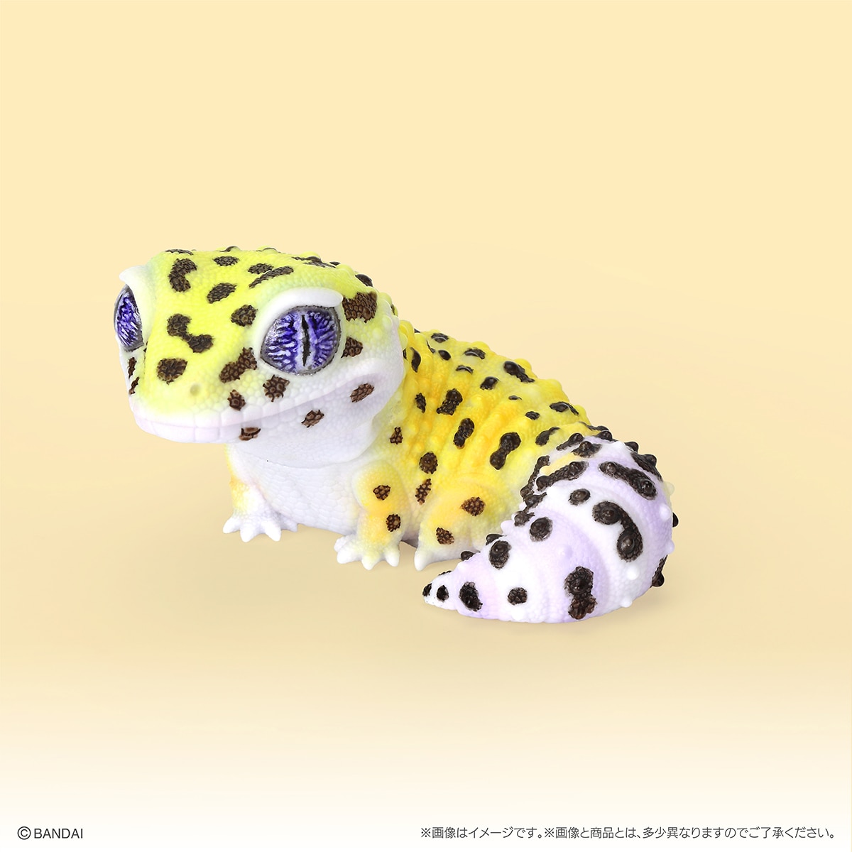 日本正版生物大图鉴瘤
