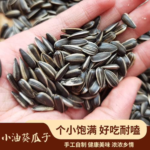 小油葵瓜子好吃耐嗑瓜子仁饱满