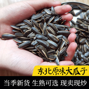 瓜子东北铁锅现炒毛嗑休闲零食生熟可选新货大颗粒原味葵花籽炒货