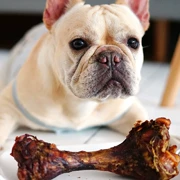 Mengbei gia súc xương chó chó mol gậy nhựa kháng cắn bổ sung canxi lớn và trung bình chó sạch xương đào tạo phần thưởng đồ ăn nhẹ - Đồ ăn vặt cho chó