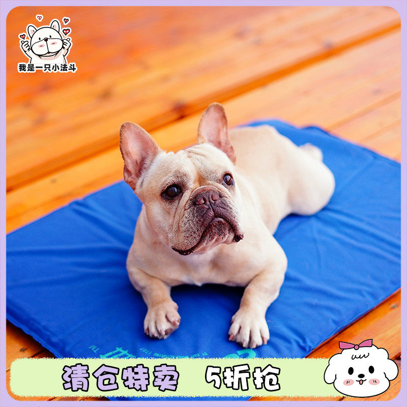 宠物垫子防潮夏季狗床耐咬不粘毛泰迪法斗犬狗窝K&H注水散热垫,宠物/宠物食品及用品,更多日用品,淘宝优惠券,粉丝福利购,淘宝优惠卷