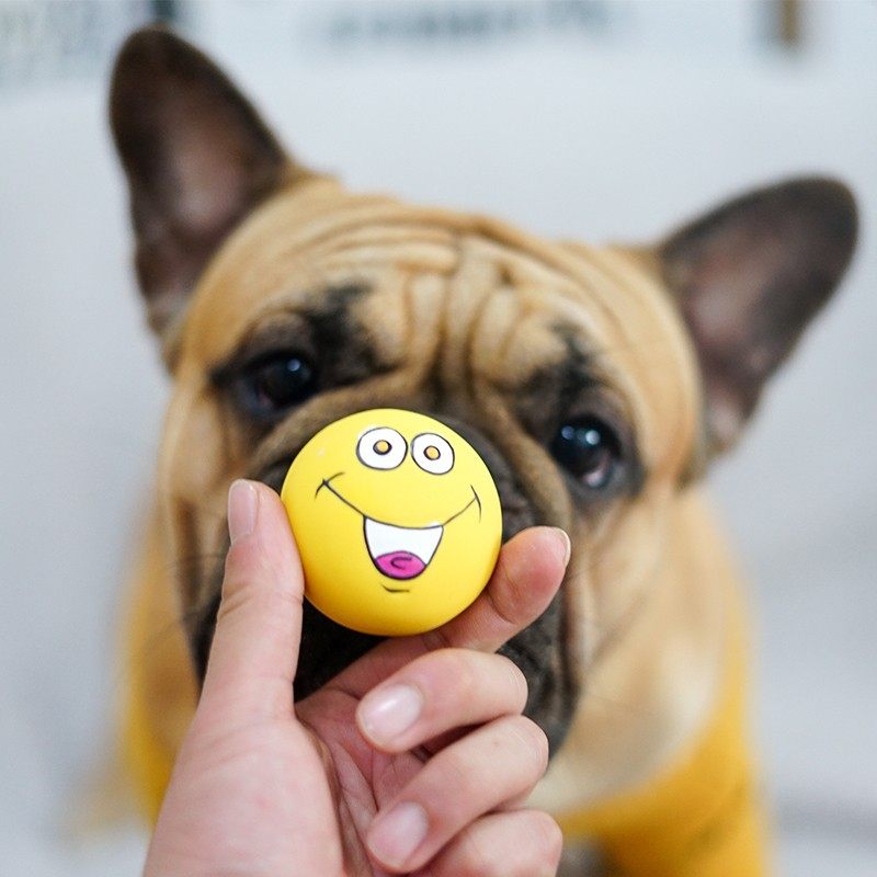 宠物狗发声玩具球磨牙耐咬训练泰迪比熊法斗橡胶多彩表情蛋玩具,宠物/宠物食品及用品,发声玩具,淘宝优惠券,粉丝福利购,淘宝优惠卷