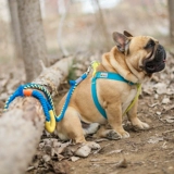 Рука для домашних животных -уклона хлопчатобумажная веревка