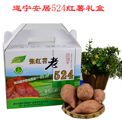 2025新产四川遂宁安居特产遂宁524红苕新鲜黄心红薯礼品盒装包邮