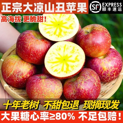 顺丰四川大凉山盐源老树冰糖心丑苹果脆甜应季新鲜孕妇水果红富士