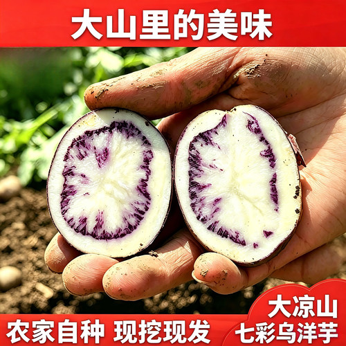 大凉山七彩乌洋芋土豆新鲜现挖农家紫心洋芋花青素 小土豆整箱