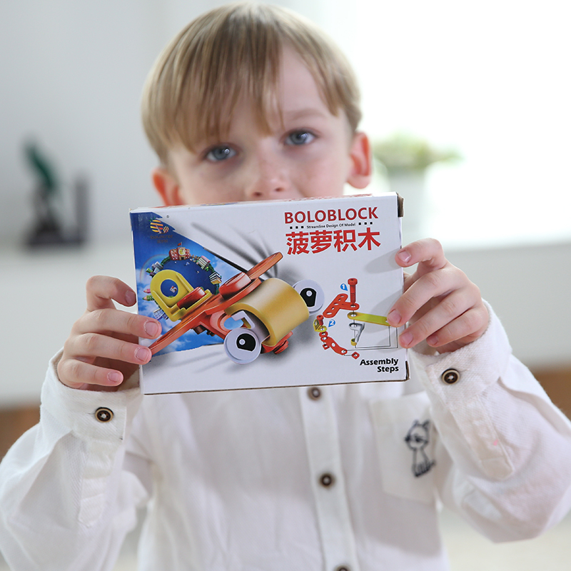 菠萝树迷你积木儿童益智拼插组装飞机锻炼动手玩具汽车拼装积木车