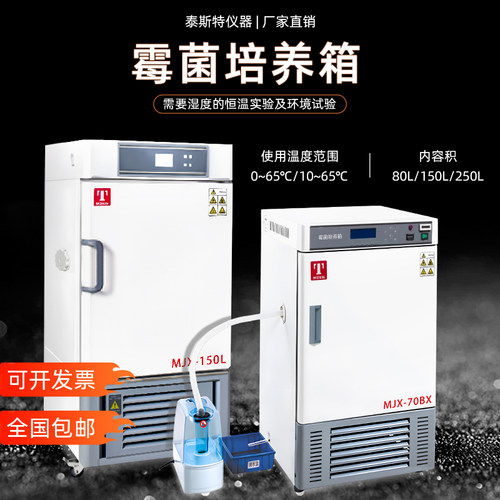 泰斯特霉菌培养箱MJX-80P70BX250